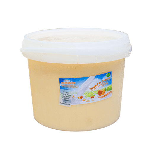 Yogurt Probiótico de Naranja 4lt